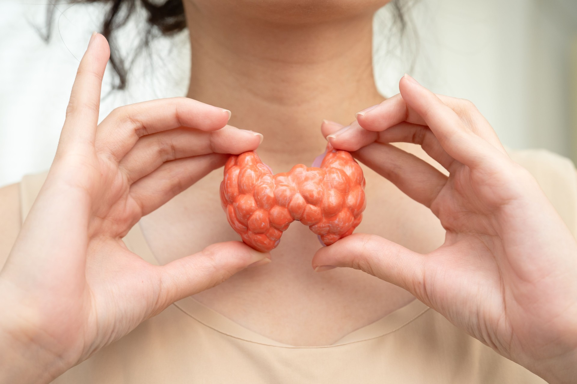 Hyperthyroidism, Overactive Thyroid, Thyroid Lymphoma, Asian woman with thyroid gland human anatomy model.
